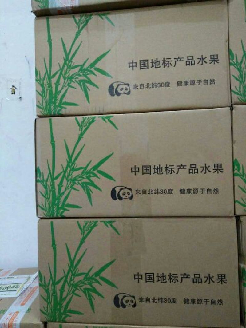塔罗科血橙60~65mm