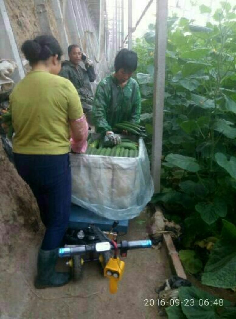 小动力植保机械