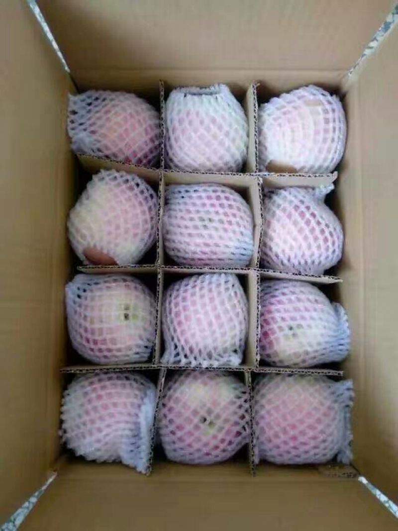 红富士苹果纸夹膜红富士