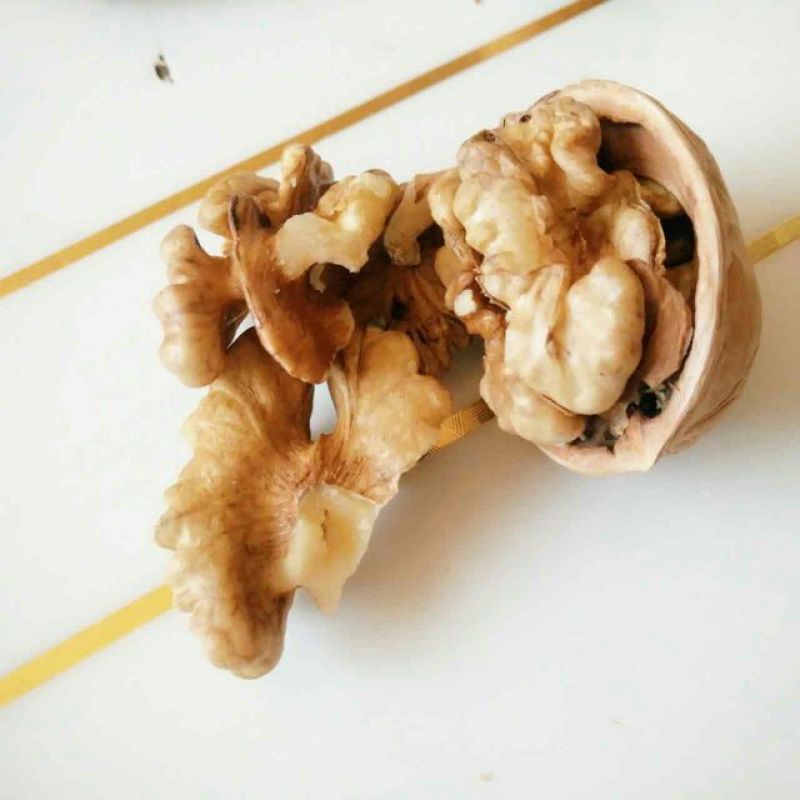 新新2号核桃去皮干