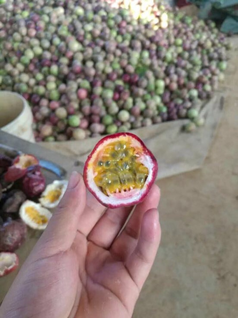 百香果