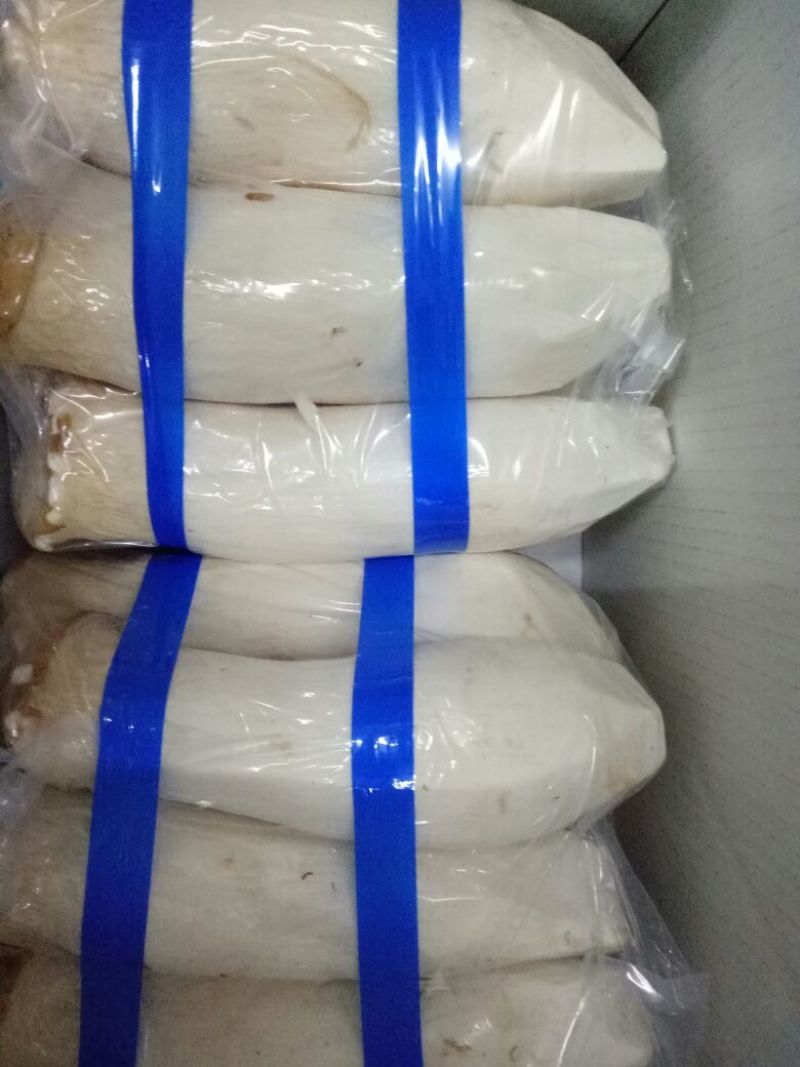 杏鲍菇特级