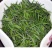 川茶特级