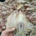 鱿鱼干包装