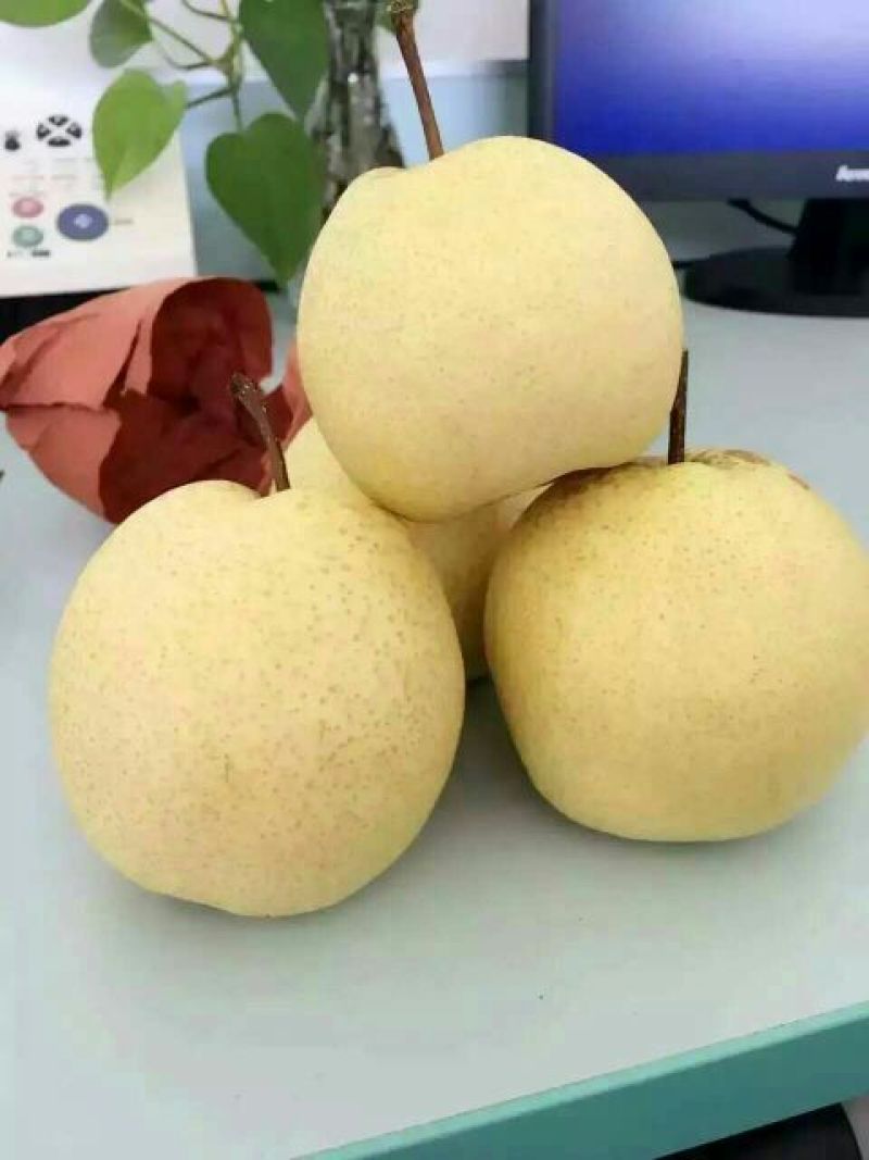 酥梨150~200g纸箱