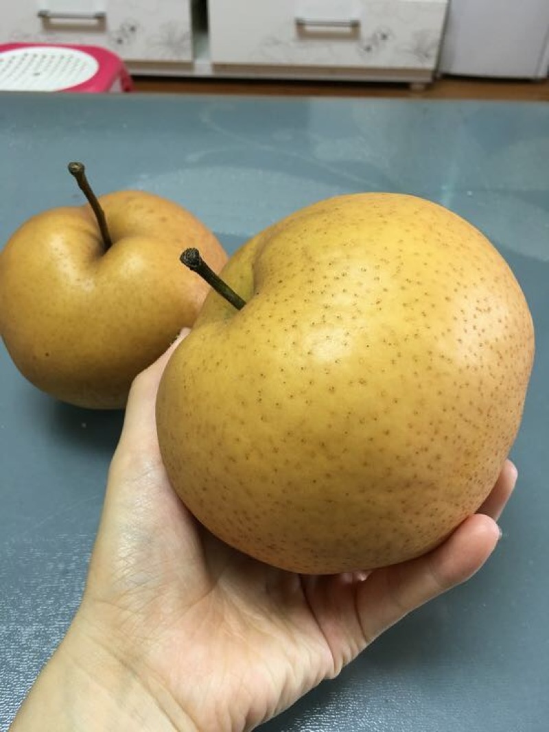 红梨