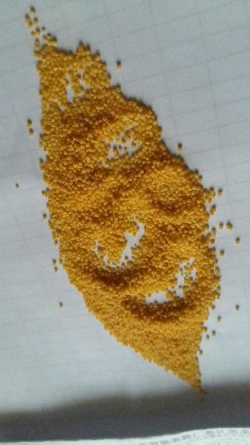 黄金米
