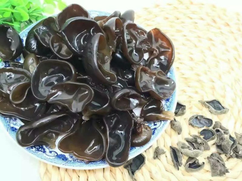 黑木耳特级