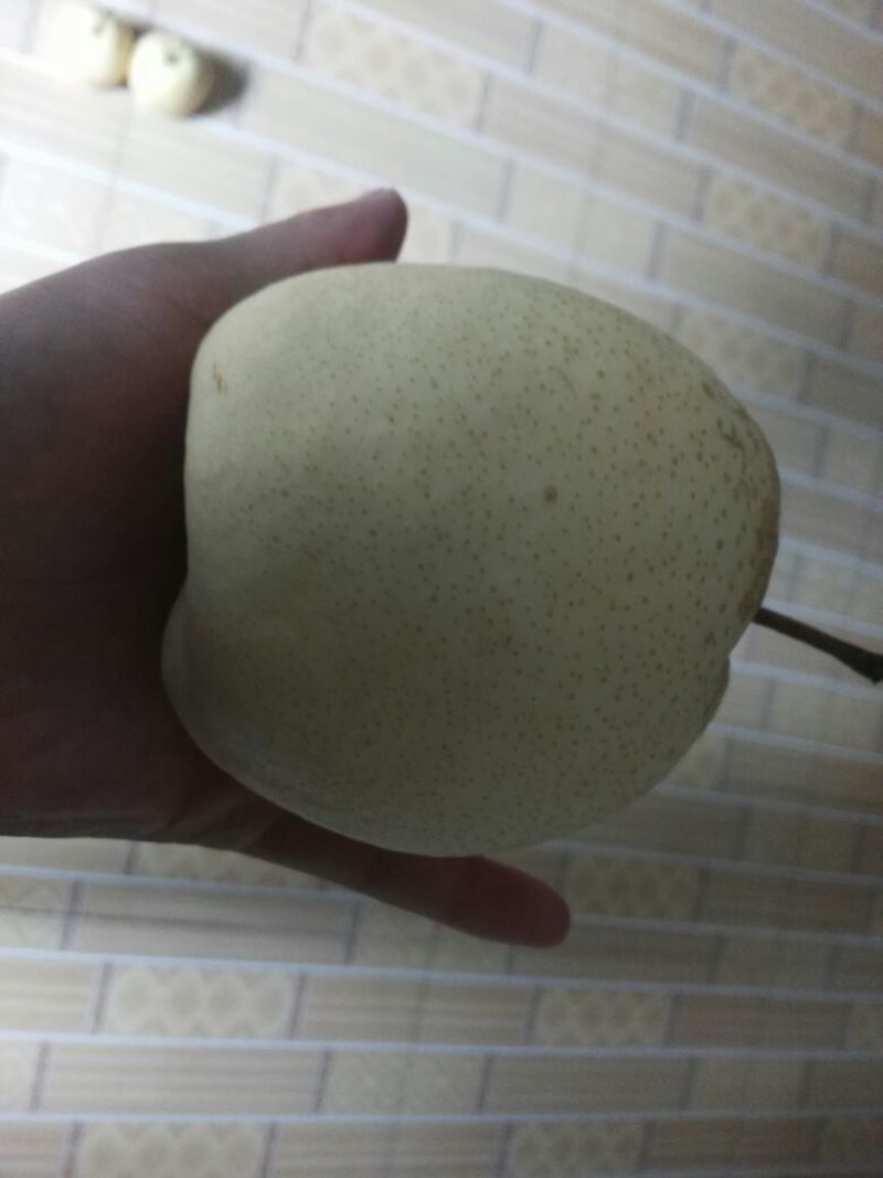 礼泉酥梨纸袋