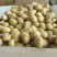 荷兰十五黄心黄心小土豆1两以下，油炸专用小土豆