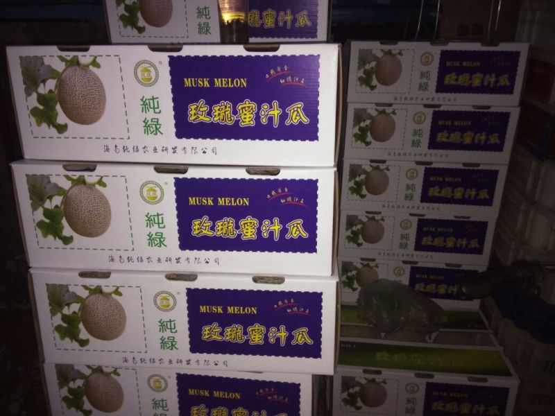 网纹瓜1斤以上椭圆形