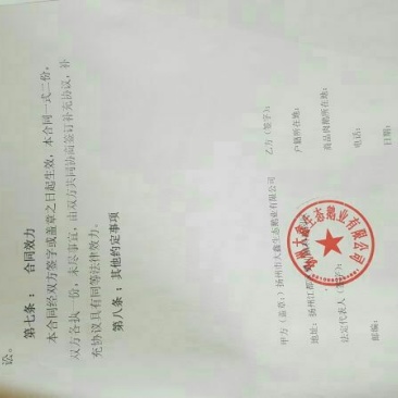 皖西白鹅苗250g以上