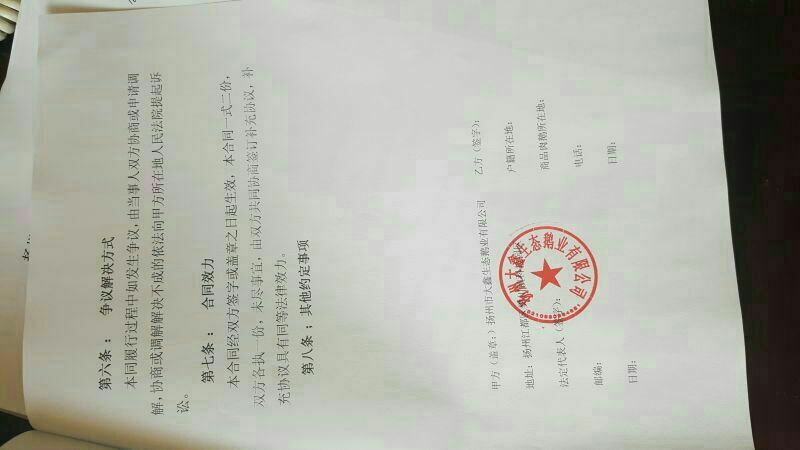 皖西白鹅苗250g以上