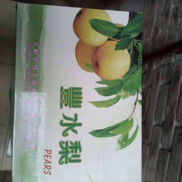 丰水梨400~450g纸加膜