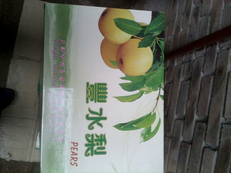 丰水梨400~450g纸加膜