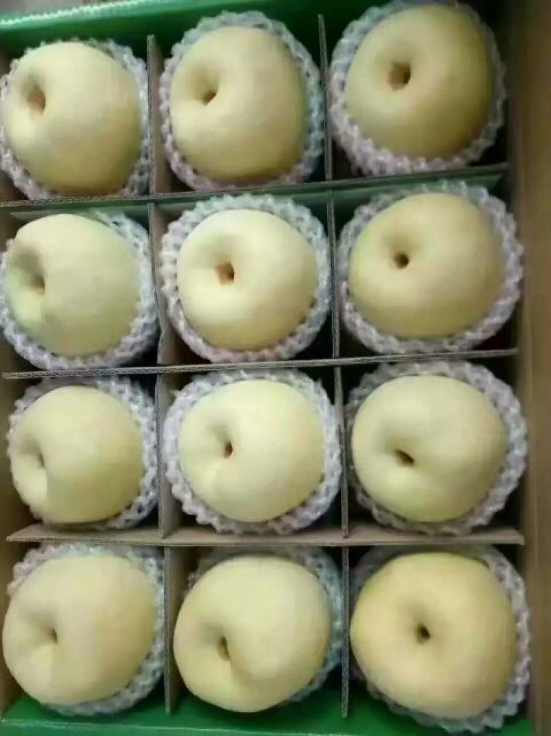 贡梨300~350g纸袋