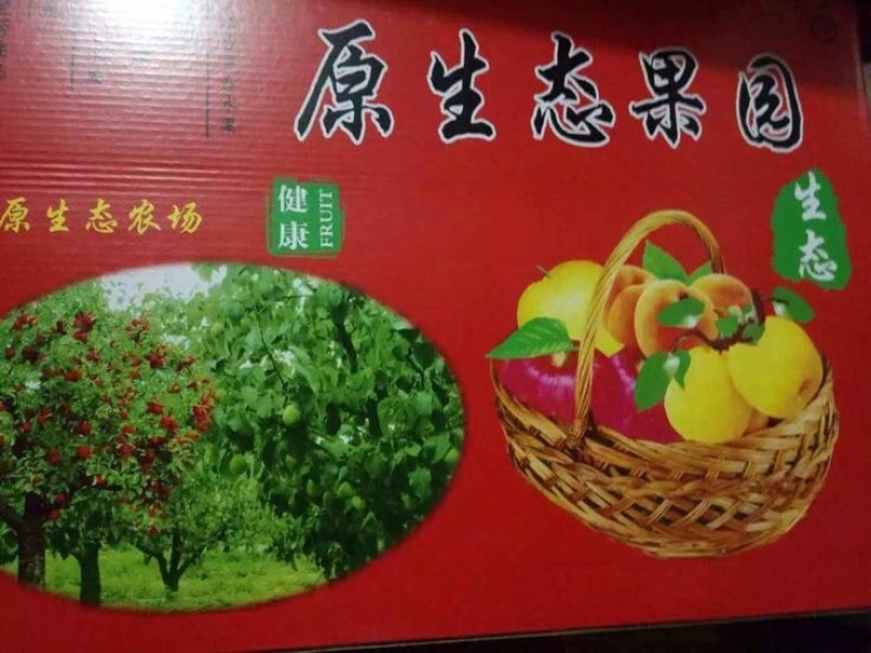 砀山梨