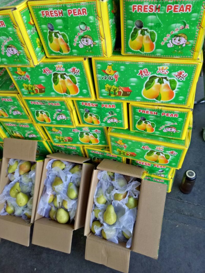 大头梨150~200g纸箱