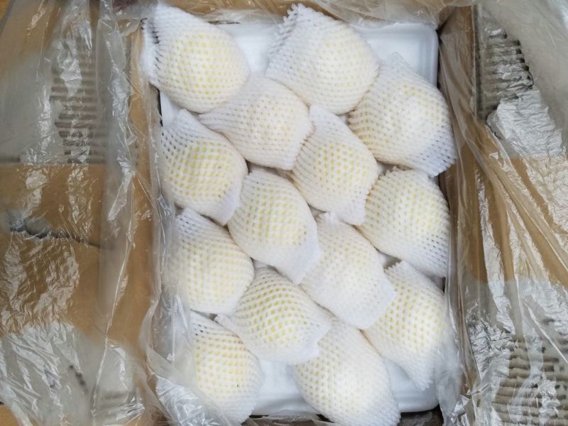 皇冠梨200~250g纸箱