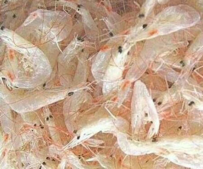 虾皮特级