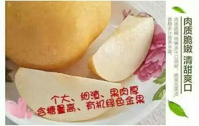 沙澧特晚秋黄梨350~400g纸箱