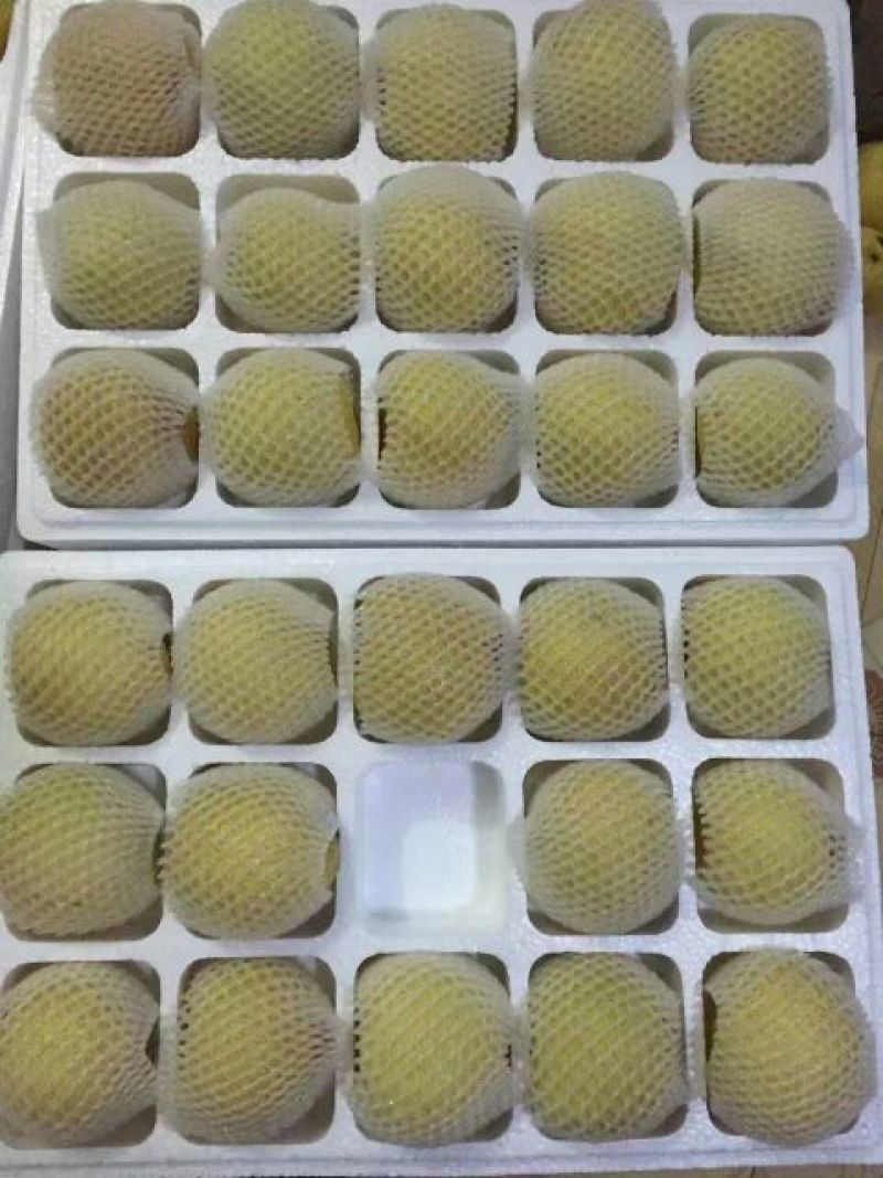 砀山梨250~300g纸箱