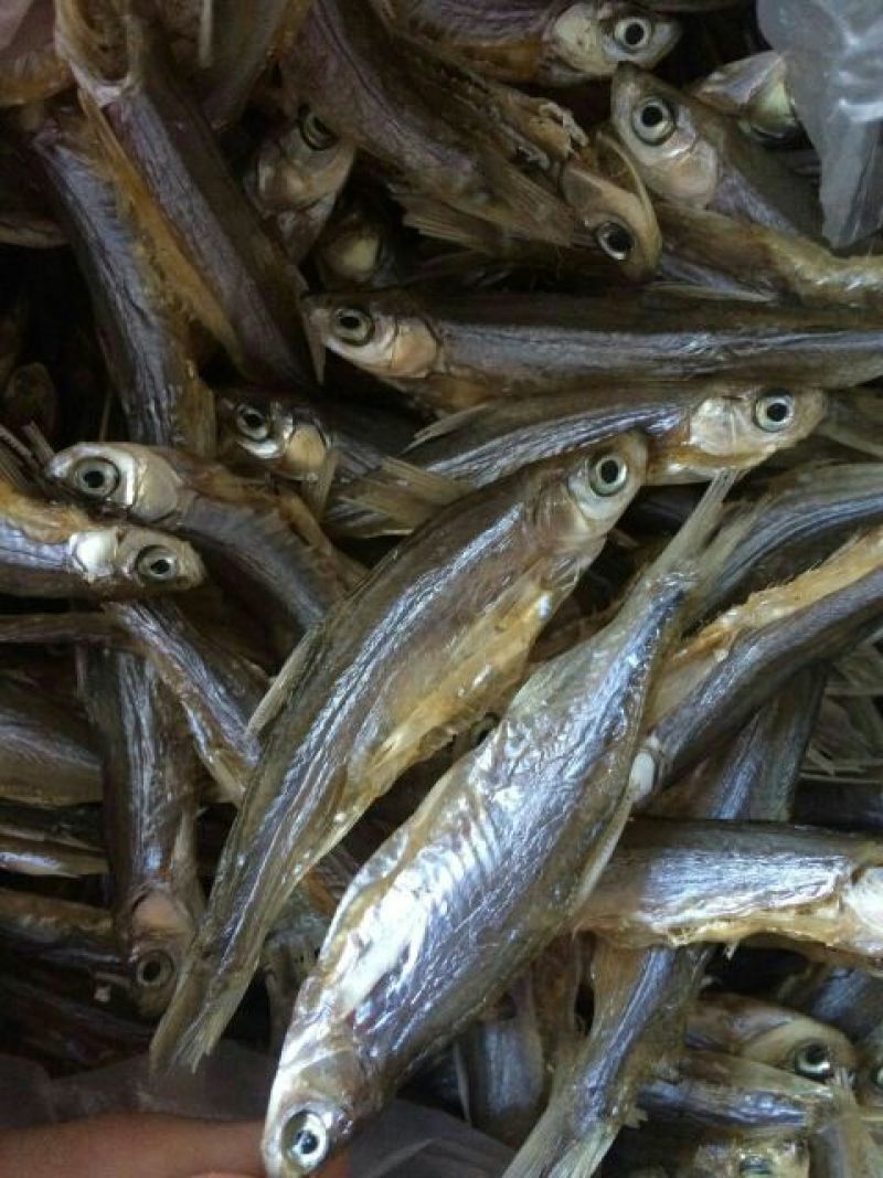 鱼干炸鱼干