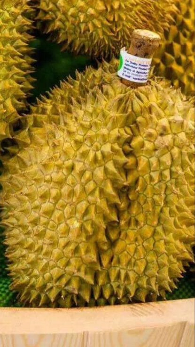 榴莲