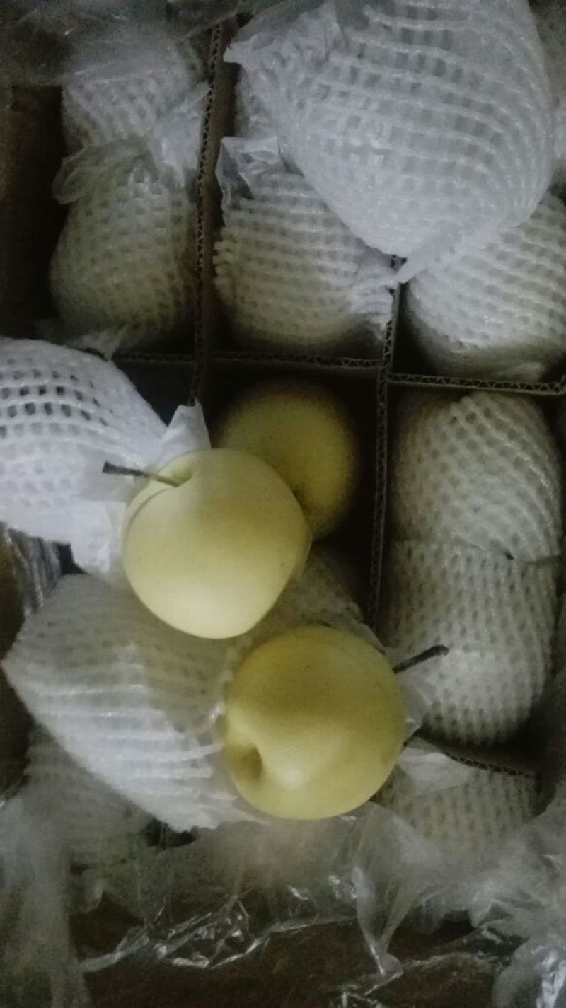 皇冠梨