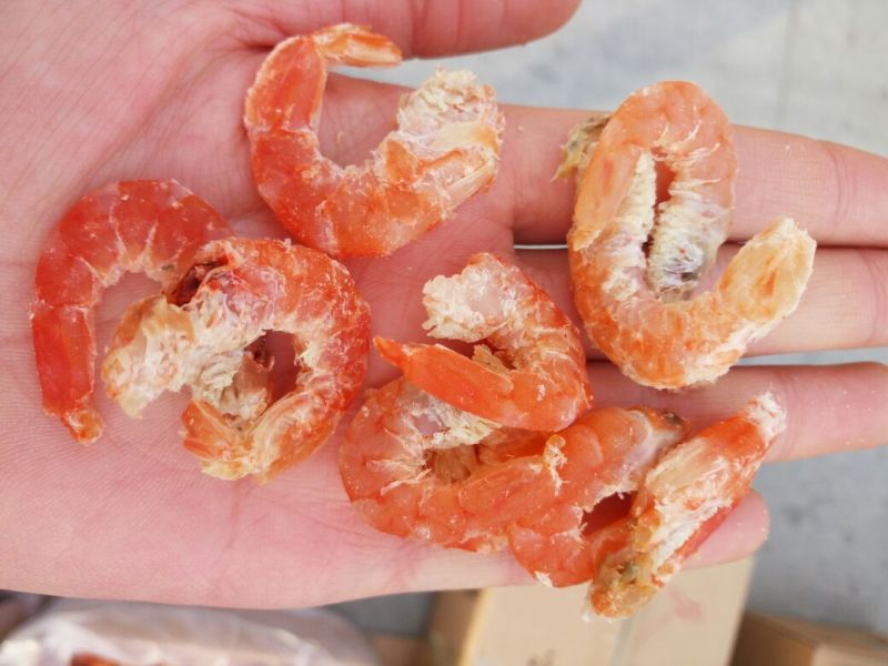 山东渤海湾对虾干无盐淡干海米对虾米脱皮现货