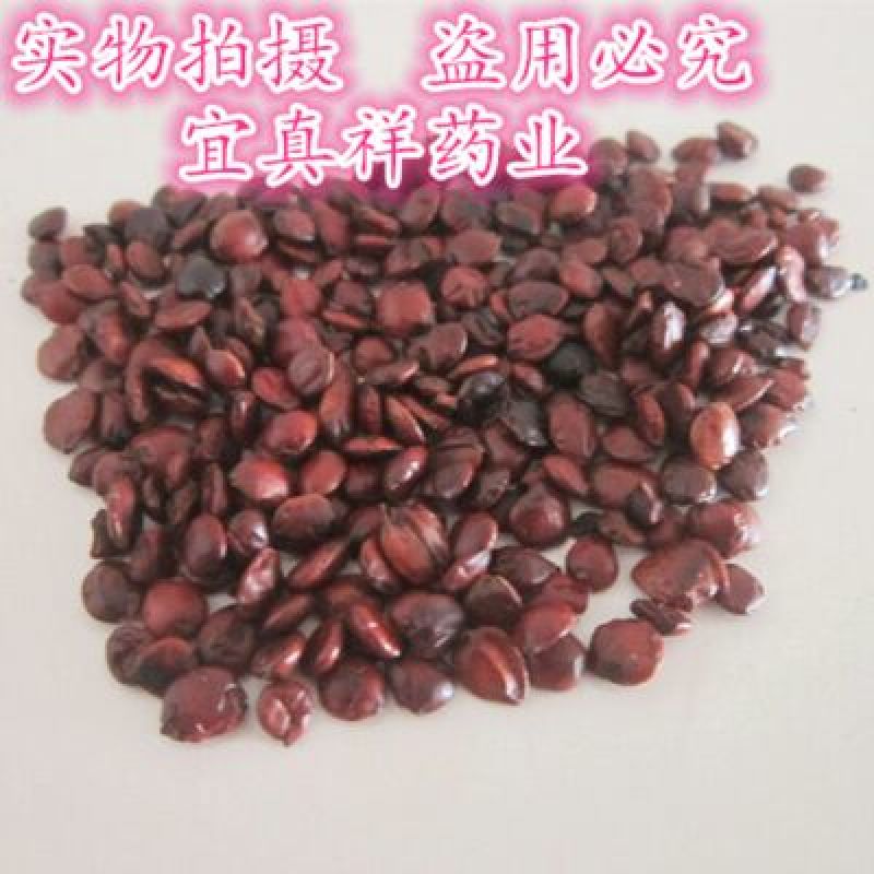 酸枣仁统货