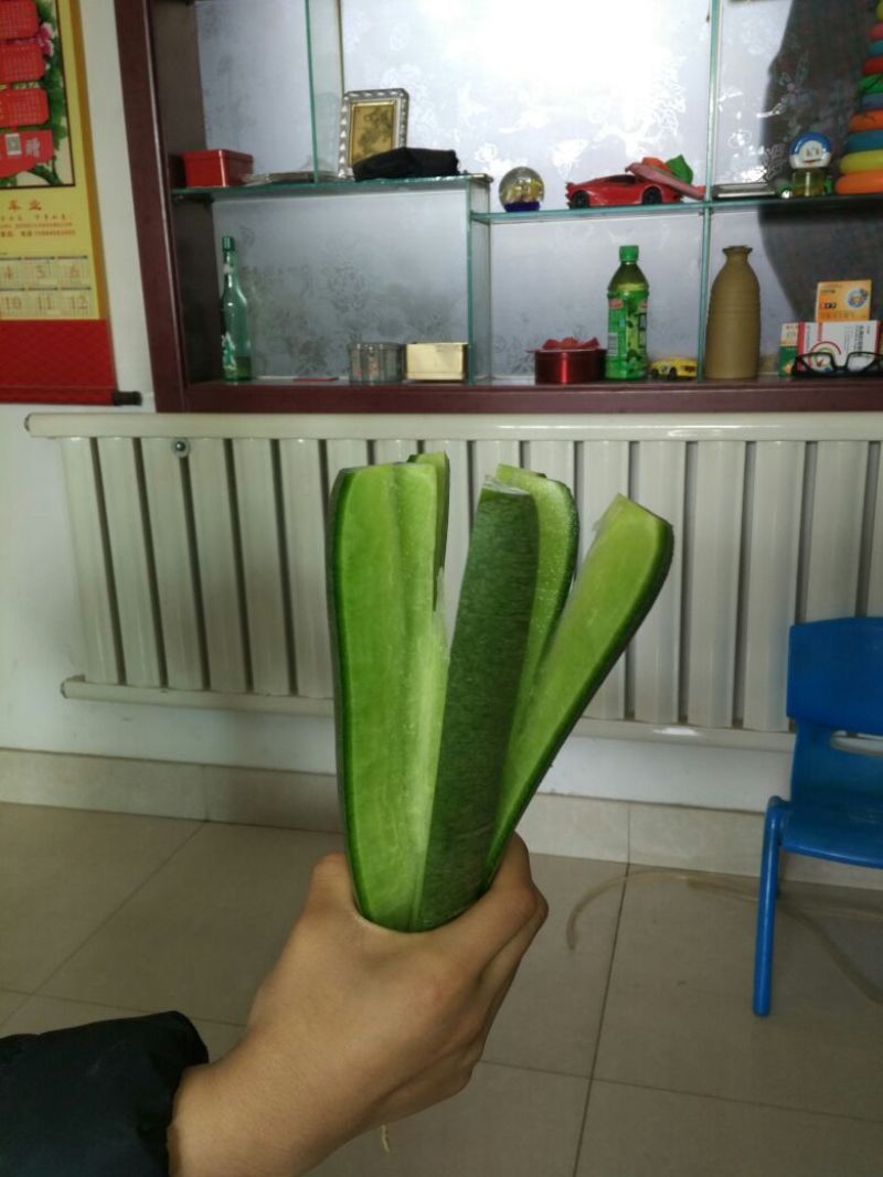 潍县青萝卜0.2~1斤起