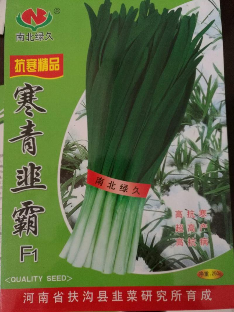 寒青韭霸韭菜种子袋装罐装，对接全国批发，30年品质保证