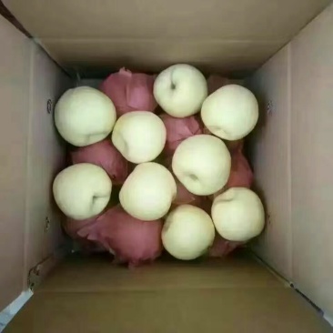 礼泉酥梨200~250g纸袋