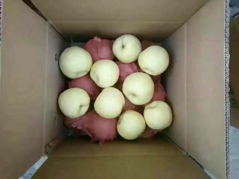 礼泉酥梨200~250g纸袋
