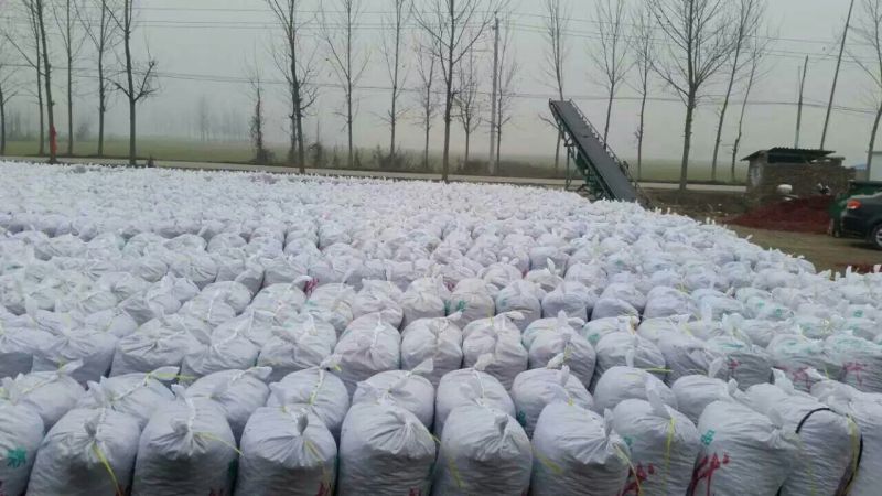 干辣椒精品8.5成干
