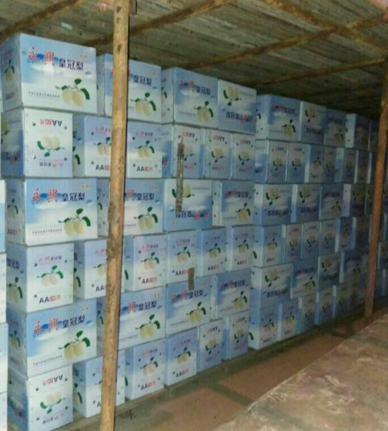 皇冠梨300~350g纸箱