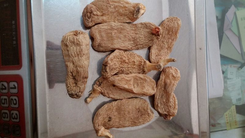 野生天麻一级，产地；世界天麻原产地昭通小草