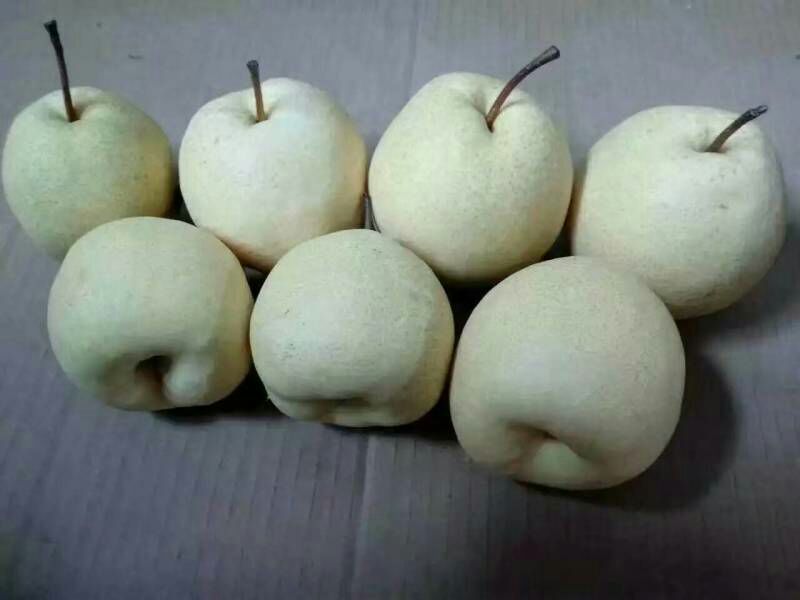 晚秋黄梨纸袋