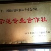 晶元紫山药专业合作社的一亩田店铺