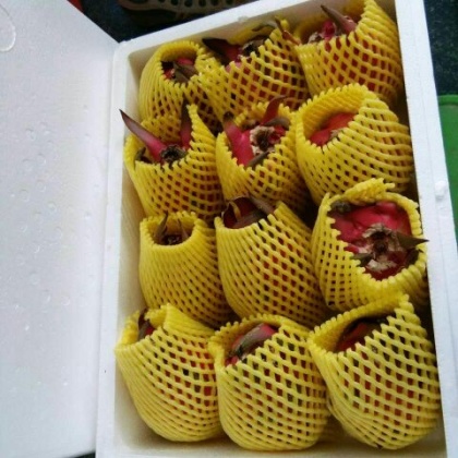 广西南宁市隆安县金都1号火龙果 小(5两以下)批