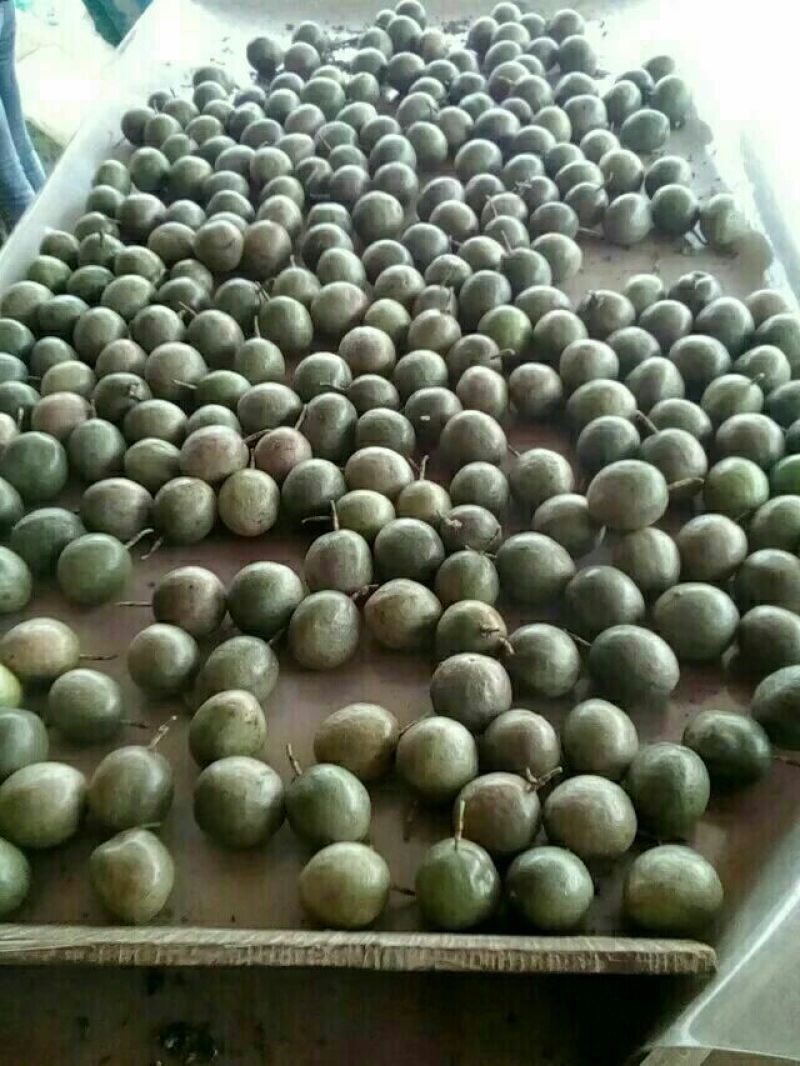 百香果紫果60~70g