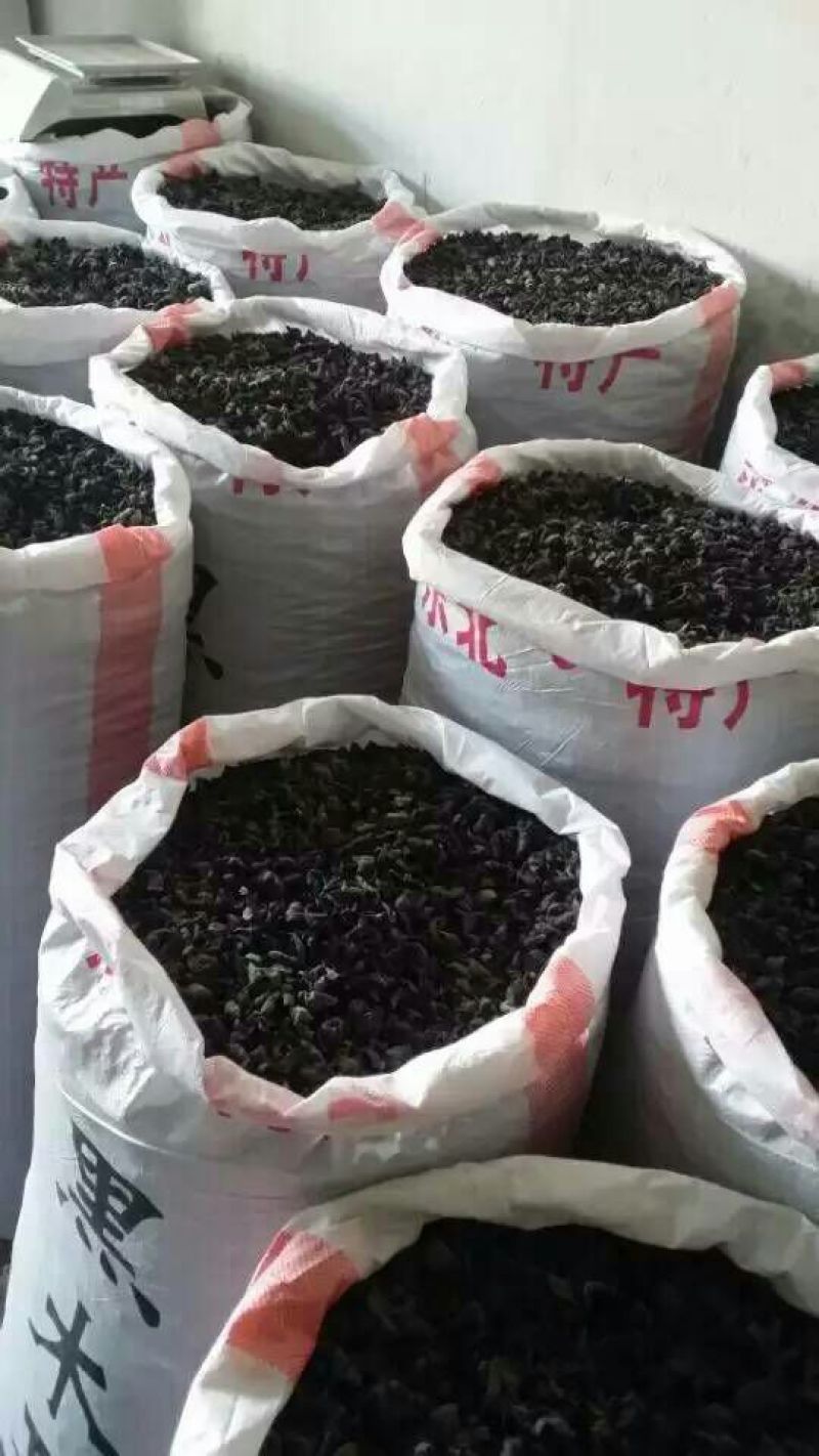 黑木耳一级