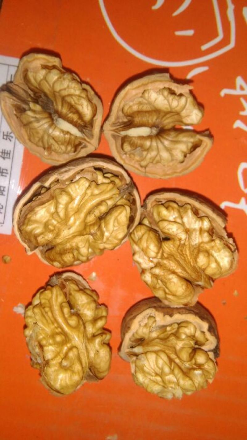 薄皮核桃40mm以上去皮干