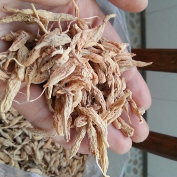 麦冬