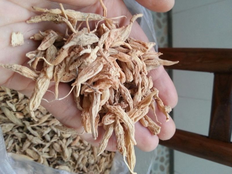 麦冬