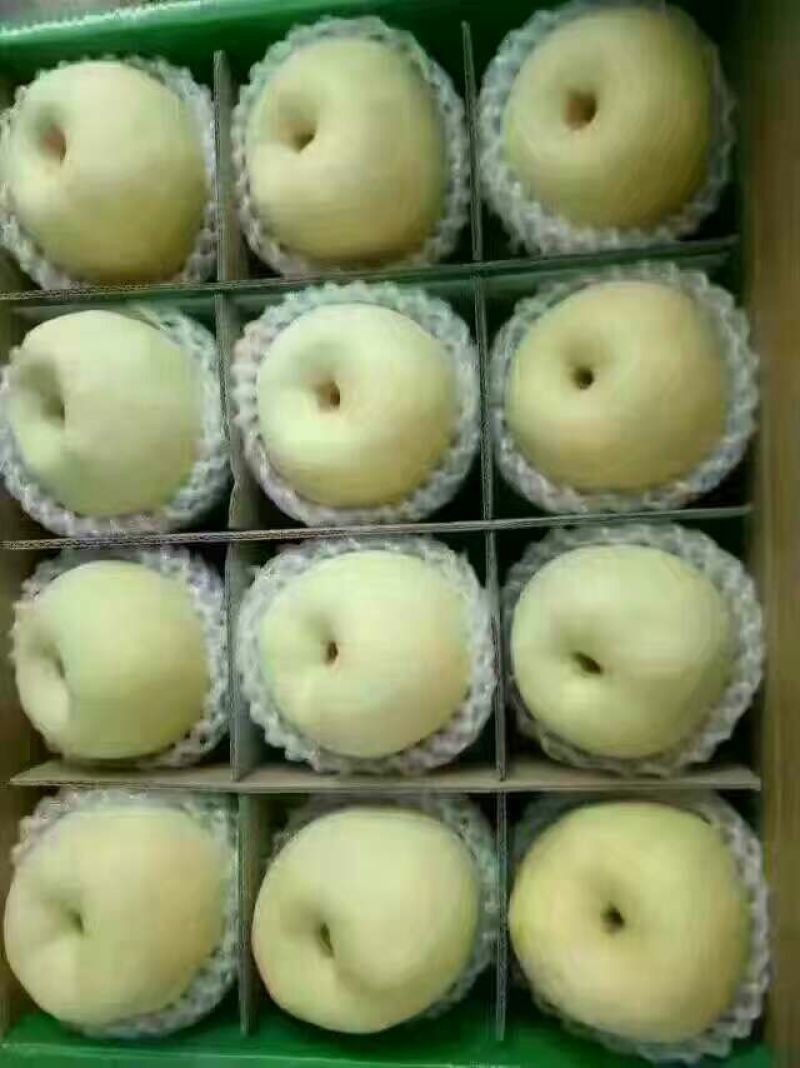 早酥梨纸袋