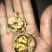 薄皮核桃25mm以下去皮干