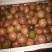 百香果70~80g紫果
