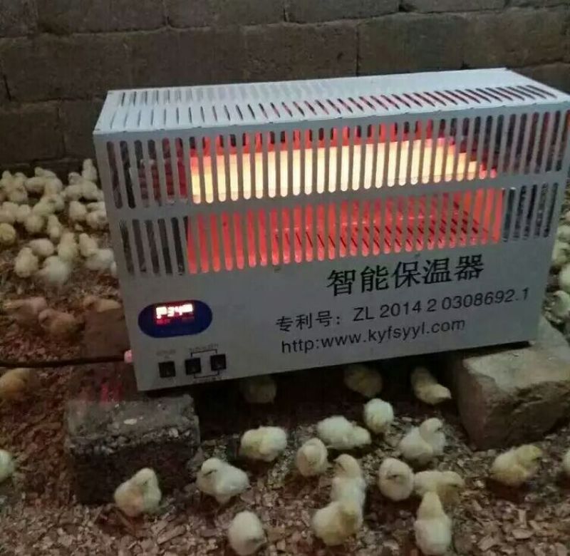 鹅苗250g以下